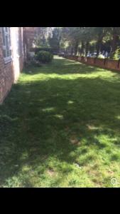 Garden/back view of property