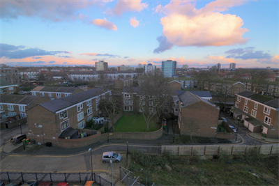 Garden/back view of property