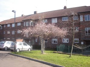 Front view of property