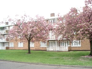 Front view of property
