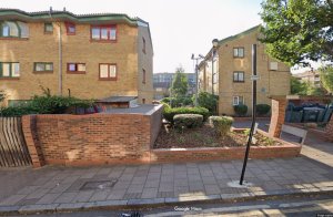 Garden/back view of property